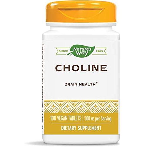 Nature's Way Choline 500 mg 100 Tablets Pack of 2