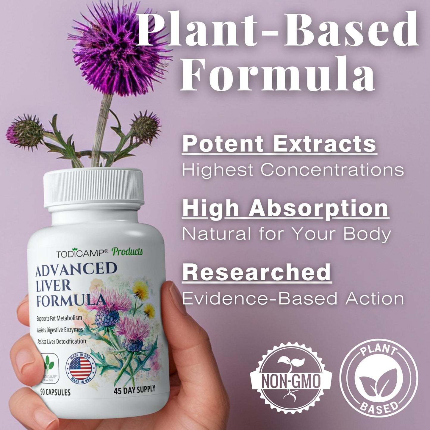 Liver Health with Milk Thistle Artichoke Extract Choline   Advanced Liver Detox Capsules for Liver Cleanse Liver Repair Milk Thistle Liver Support (90 Capsules (Pack of 1))