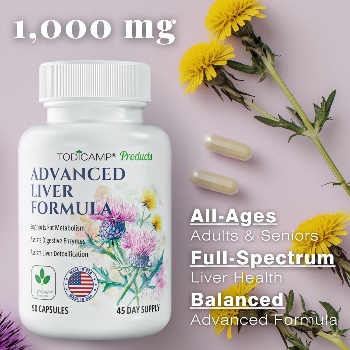 Liver Health with Milk Thistle Artichoke Extract Choline   Advanced Liver Detox Capsules for Liver Cleanse Liver Repair Milk Thistle Liver Support (90 Capsules (Pack of 1))