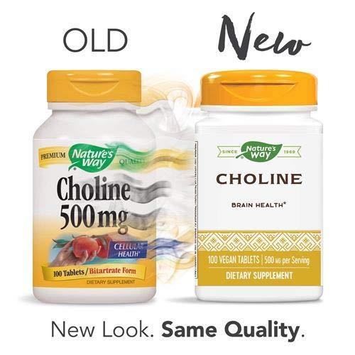 Nature's Way Choline 500 mg 100 Tablets Pack of 2