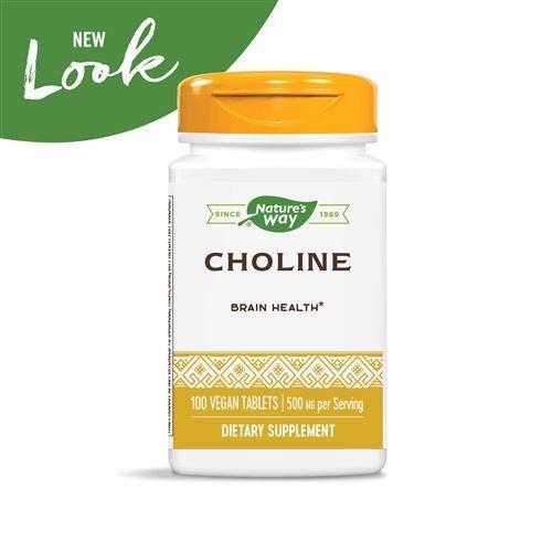 Nature's Way Choline 500 mg 100 Tablets Pack of 2