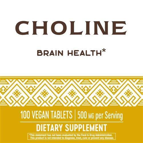 Nature's Way Choline 500 mg 100 Tablets Pack of 2